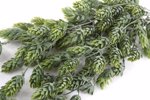 Ghirlanda hamei artificial verde pudrat - 70 cm