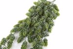 Ghirlanda hamei artificial verde pudrat - 70 cm