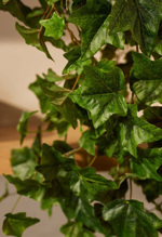 Ghirlanda iedera artificiala curgatoare verde - 180 cm