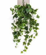 Ghirlanda iedera artificiala verde - 70 cm