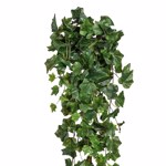 Ghirlanda iedera artificiala verde - 80 cm