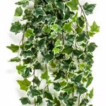 Ghirlanda iedera artificiala verde-crem - 100 cm