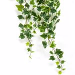 Ghirlanda iedera artificiala verde-crem - 100 cm
