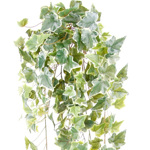 Ghirlanda iedera artificiala verde-crem - 120 cm
