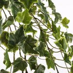 Ghirlanda iedera artificiala verde-crem - 130 cm