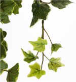 Ghirlanda iedera artificiala verde-crem - 130 cm