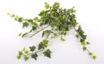 Ghirlanda iedera artificiala verde-crem - 45 cm