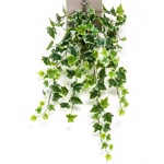 Ghirlanda iedera artificiala verde-crem - 70 cm