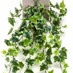 Ghirlanda iedera artificiala verde-crem - 70 cm