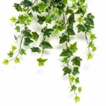 Ghirlanda iedera artificiala verde-crem - 70 cm