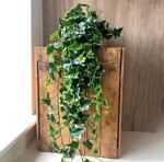 Ghirlanda iedera artificiala verde-crem - 70 cm