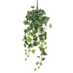 Ghirlanda iedera artificiala verde-crem - 80 cm