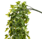 Ghirlanda iedera artificiala verde UV - 75 cm
