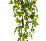 Ghirlanda iedera artificiala verde UV - 75 cm