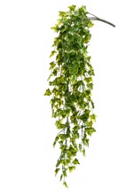 Ghirlanda iedera artificiala verde UV - 75 cm