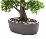 Bonsai artificial decorativ Ficus in ghiveci ceramic - 43 cm