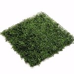 Gradina verticala artificiala BOXWOOD - 50x50cm