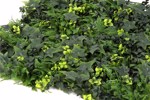 Gradina verticala artificiala GARDEN MIX - 50x50cm