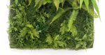 Gradina verticala artificiala LIVING WALL - 100x100cm