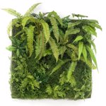 Gradina verticala artificiala LIVING WALL - 100x100cm