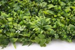 Gradina verticala artificiala OXALIS - 50x50cm