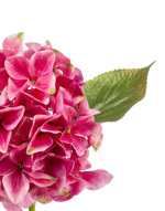 Hortensie artificiala fuchsia - 47 cm