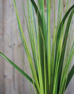 Iarba artificiala decorativa crem - 70 cm