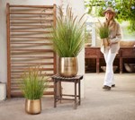 Iarba artificiala decorativa Pennisetum - 100 cm