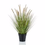 Iarba artificiala decorativa Pennisetum - 71 cm