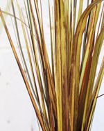 Iarba artificiala decorativa portocalie - 70 cm