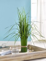 Iarba artificiala decorativa - 40 cm