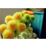 Iarba artificiala decorativa verde-crem x2buc - 48 cm