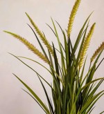 Iarba artificiala decorativa x5 Foxtail - 115 cm