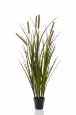 Iarba artificiala decorativa x6 Cattail - 85 cm