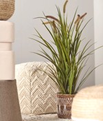 Iarba artificiala decorativa x6 Cattail - 85 cm