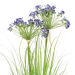 Iarba artificiala verde x2 Agapanthus albastru - 80 cm