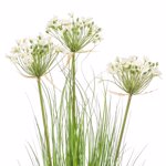 Iarba artificiala verde x3 Agapanthus crem - 110 cm