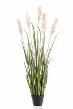 Iarba artificiala verde x5 Pampas crem - 130 cm