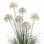Iarba artificiala verde x6 Allium mov - 72 cm
