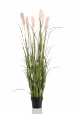Iarba artificiala verde x7 Pampas crem - 160 cm
