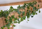 Iedera artificiala decorativa verde - 180 cm