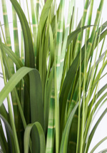 Iarba artificiala decorativa verde - 58 cm