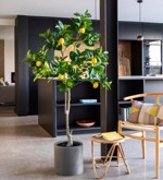 Lamai artificial decorativ in ghiveci din plastic - 150 cm