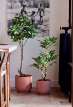 Lamai artificial decorativ in ghiveci din plastic - 150 cm