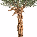 Maslin artificial cu trunchi natural - 220 cm