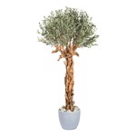 Maslin artificial cu trunchi natural - 220 cm