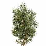 Maslin artificial decorativ TWISTED cu fructe in ghiveci - 150 cm