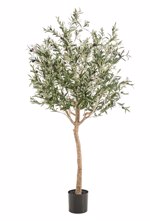 Maslin artificial in ghiveci din plastic - 180 cm