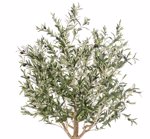 Maslin artificial in ghiveci din plastic - 180 cm