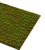 Muschi artificial decorativ Grimmia - 100x100 cm